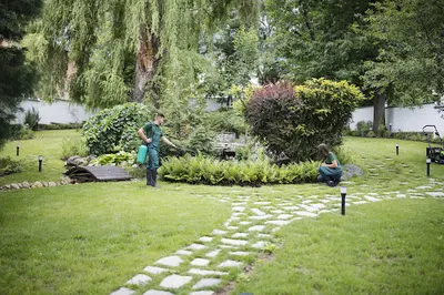 Projekt Zieleń Robert Duda